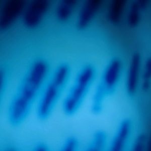 Meet your Posher, Shay